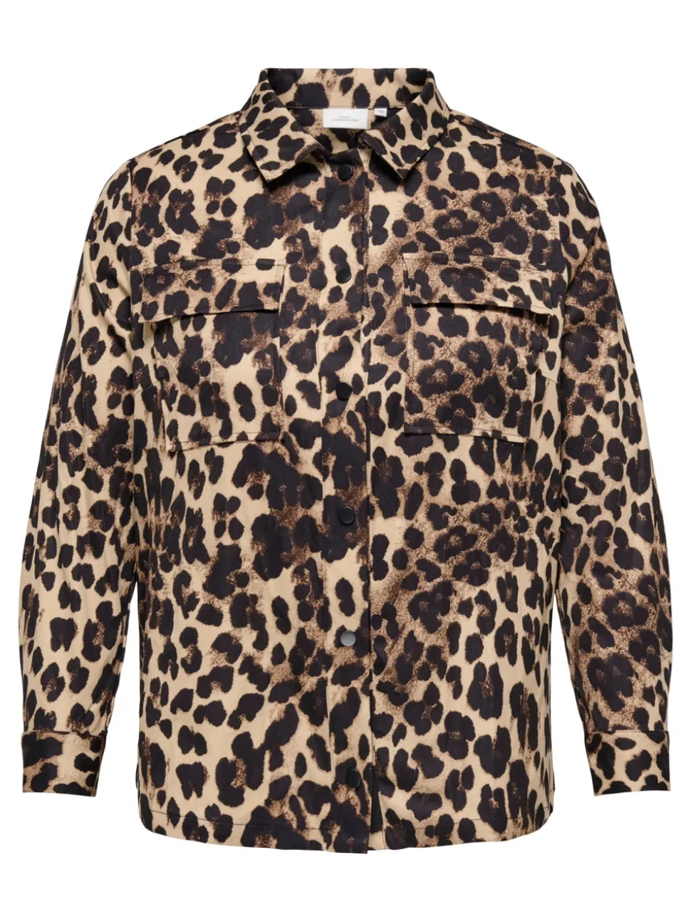 CARCASHI Chemise