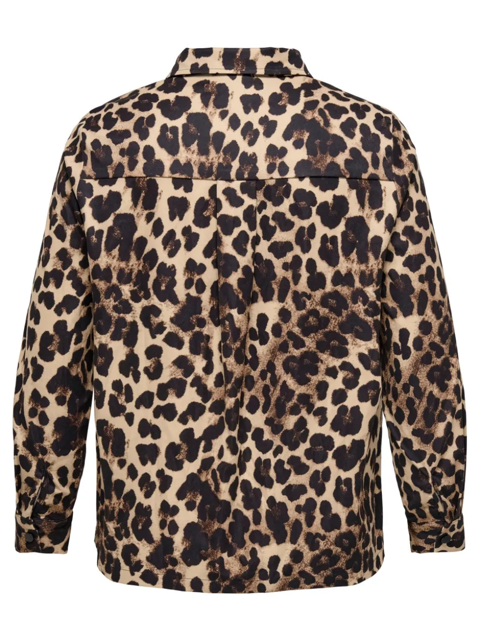 CARCASHI Chemise