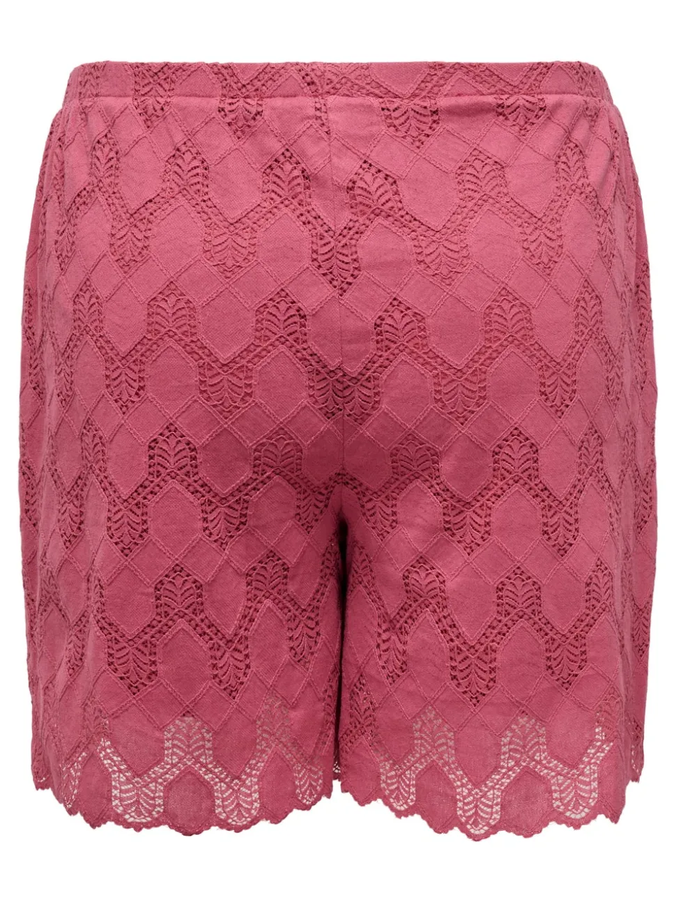 CARCLEANOR Regular Fit Short