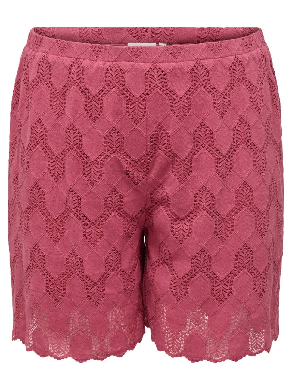 CARCLEANOR Regular Fit Short