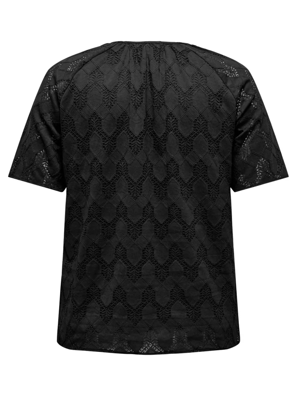 CARCLEANOR T-shirt