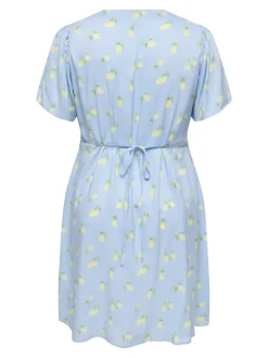 CAREVIDA Robe courte