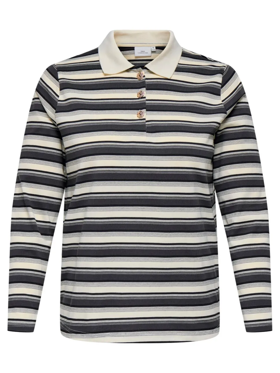 CARGLOBE Polo