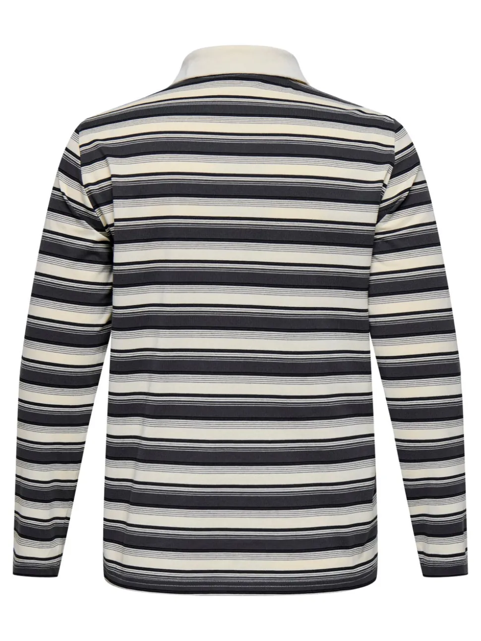 CARGLOBE Polo