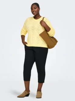 CARISA Pull en maille