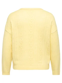 CARISA Pull en maille