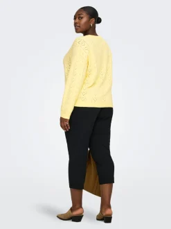 CARISA Pull en maille