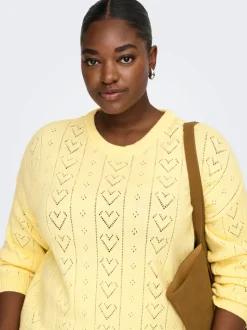 CARISA Pull en maille