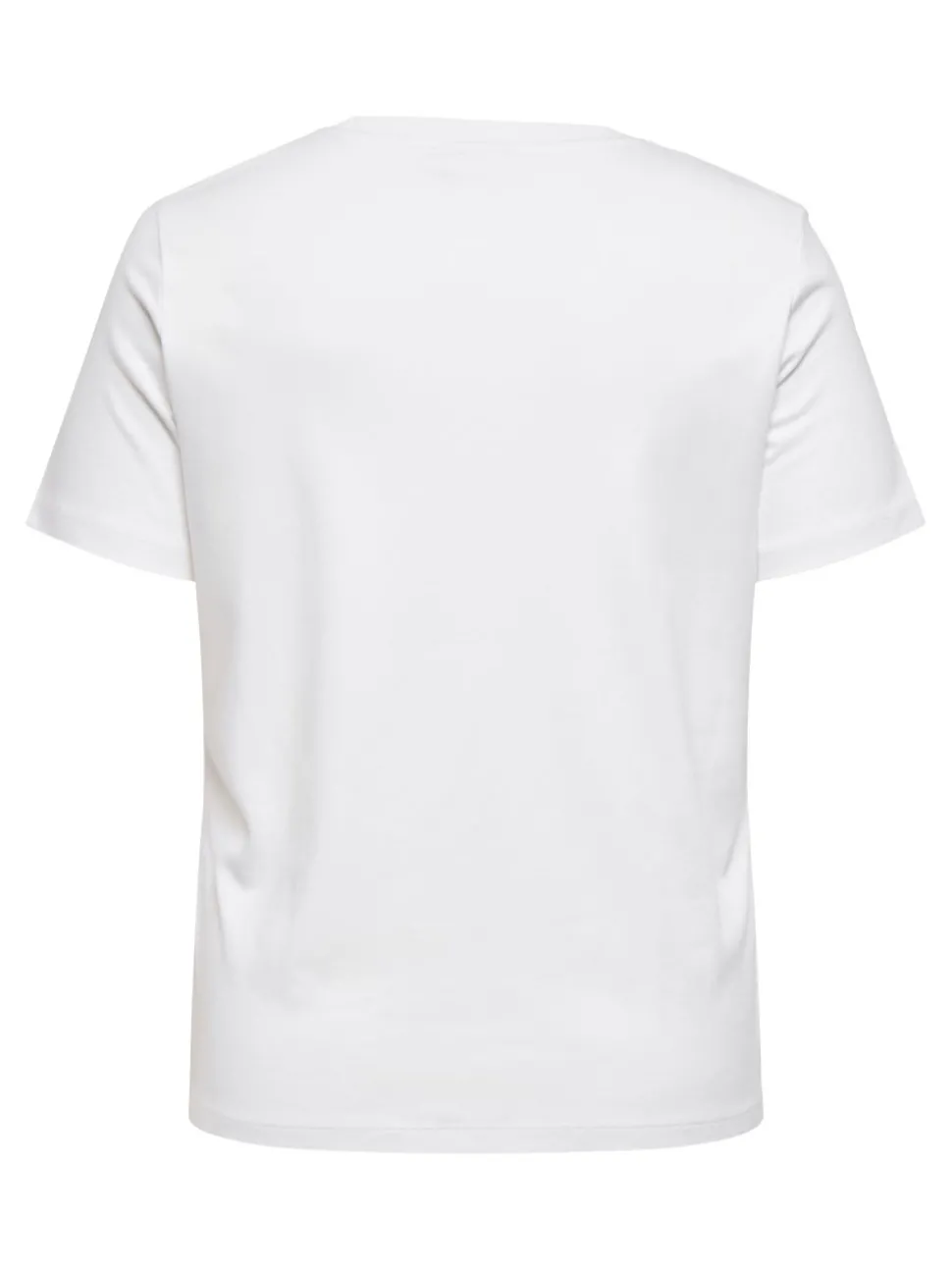 CARJEN Top