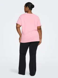CARJEN Top