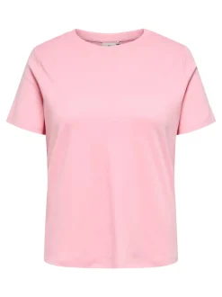 CARJEN Top