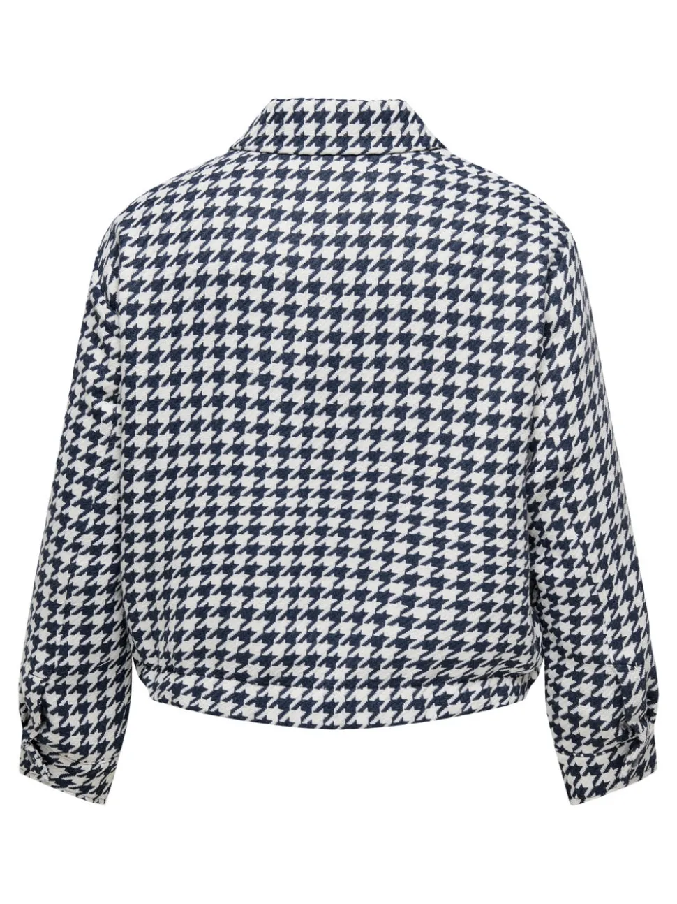 CARKIMMIE Veste bomber