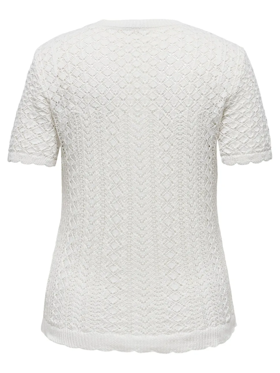 CARSAGA Top