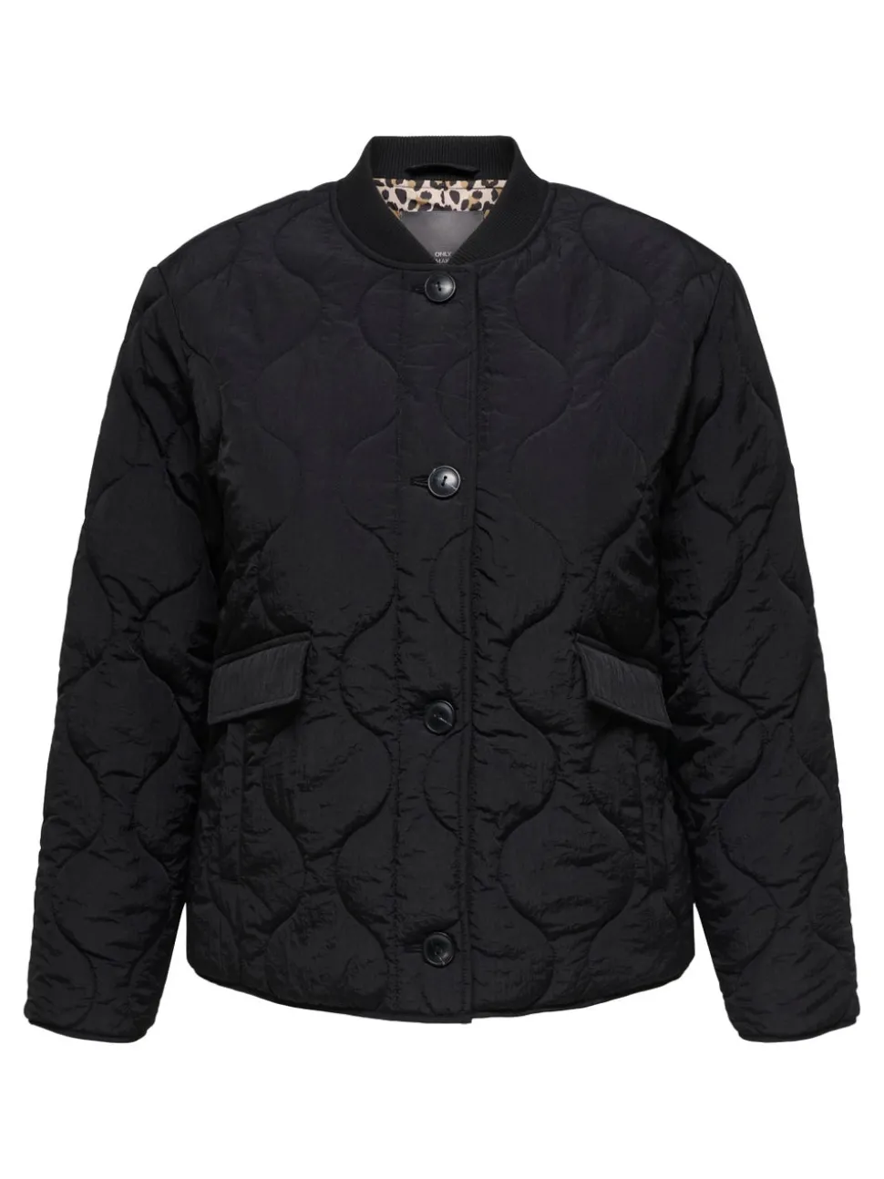 CARSALSA Veste