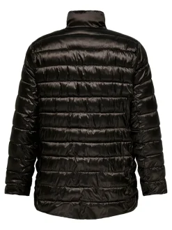 CARVEGA Veste matelassée