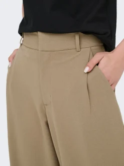 JDYGEGGO Regular Fit Pantalon