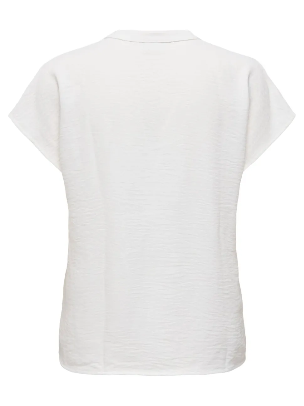 JDYLION Blouse