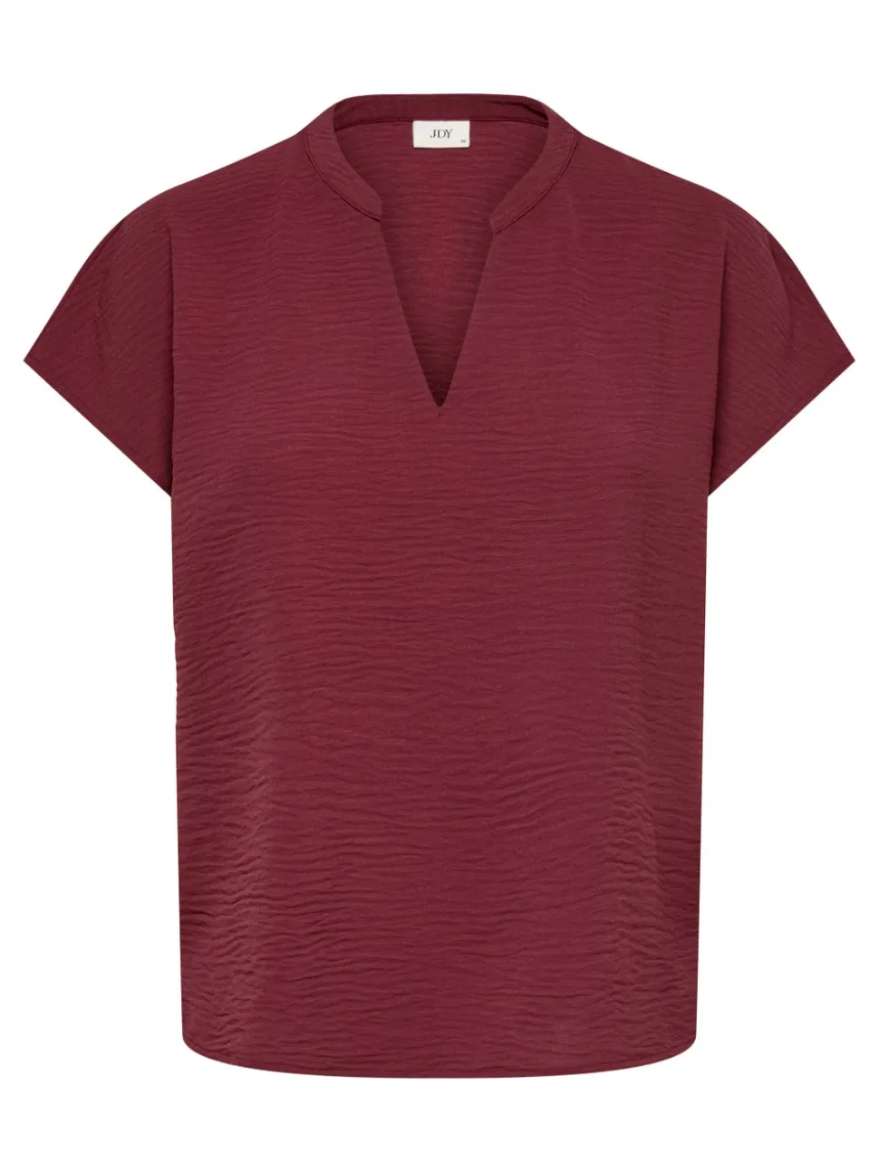 JDYLION Blouse