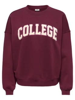 JDYMESA Sweat-shirts