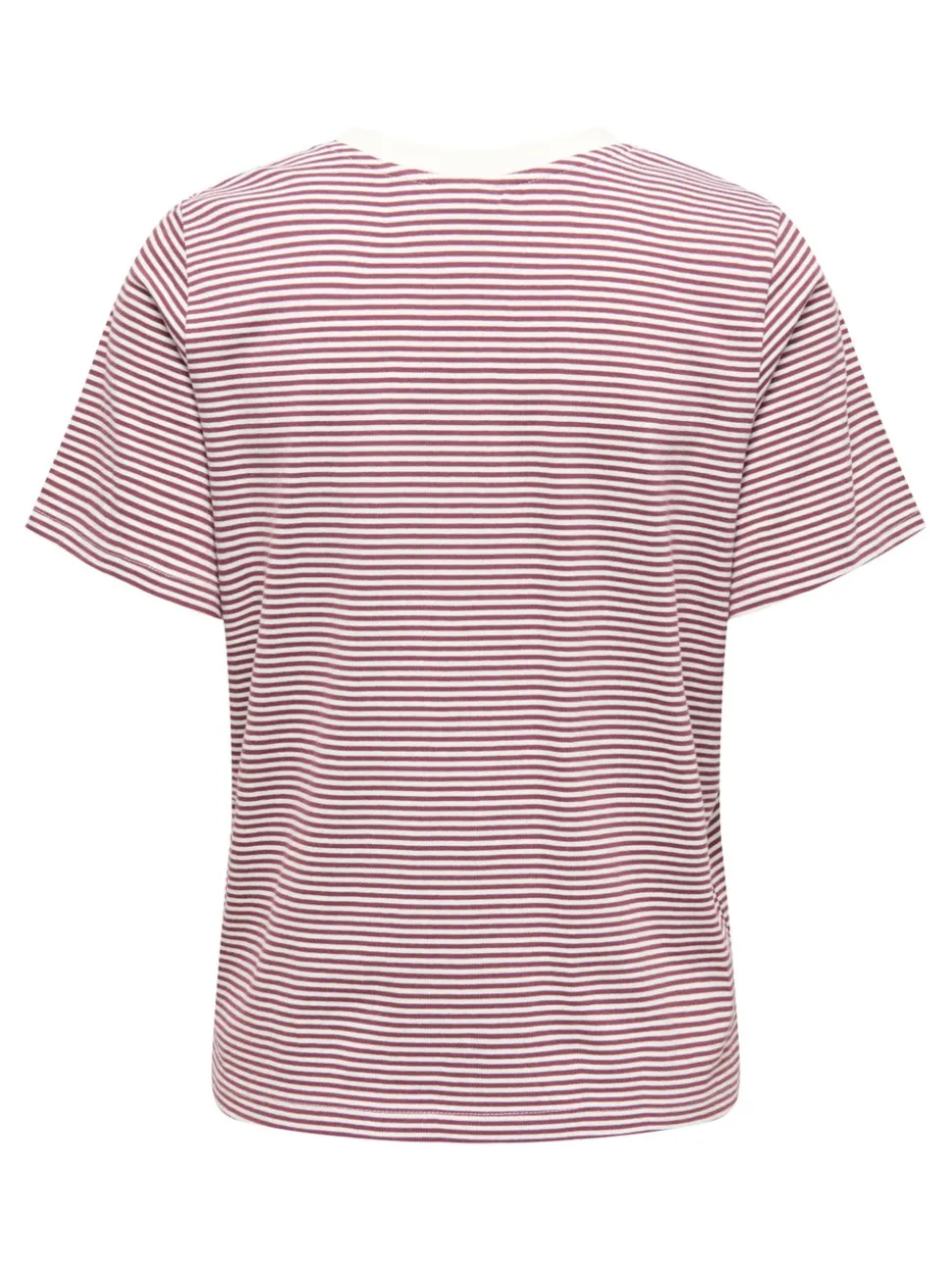 JDYPISA T-shirt