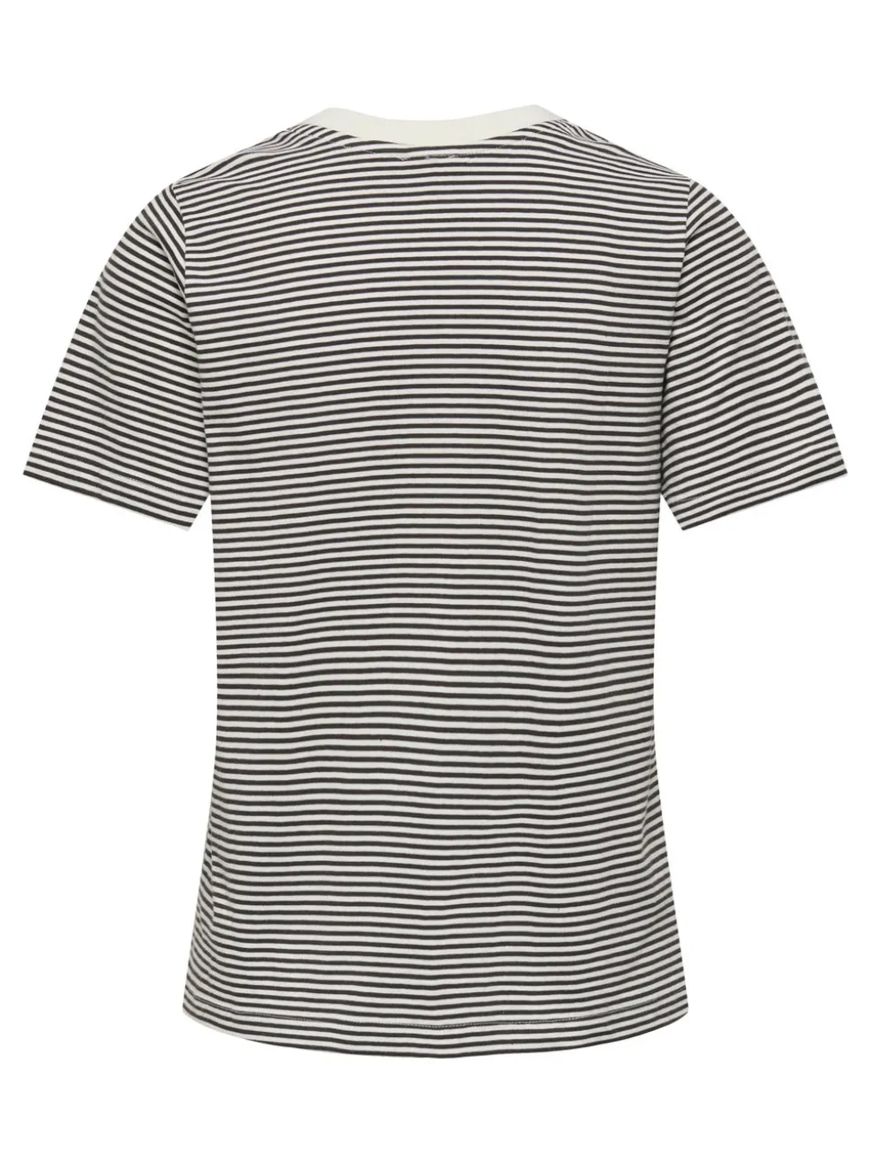 JDYPISA T-shirt