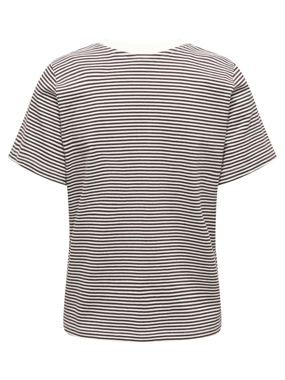 JDYPISA T-shirt