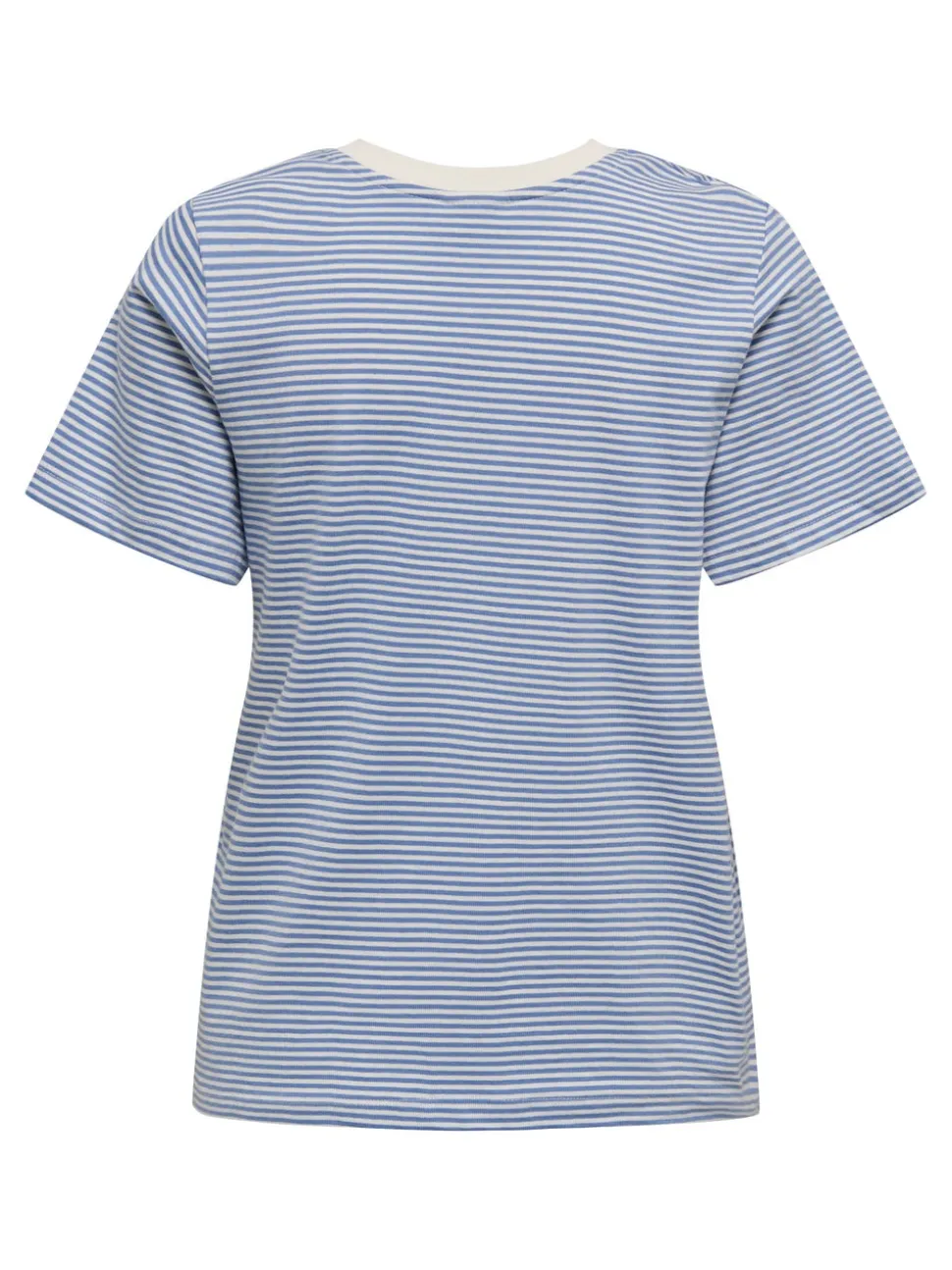 JDYPISA T-shirt