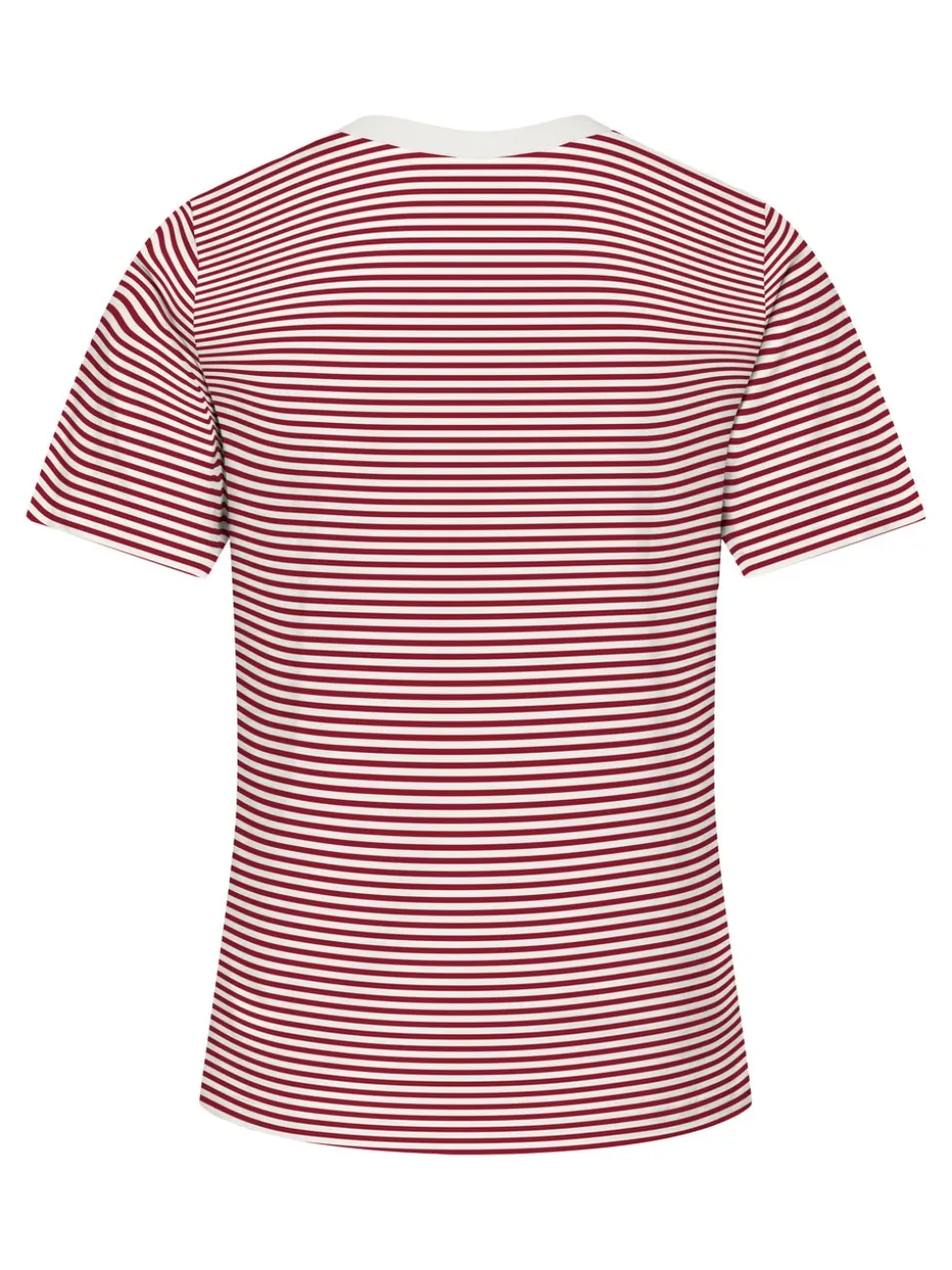 JDYPISA T-shirt