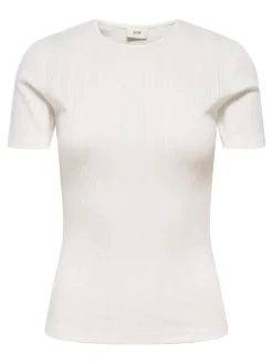 JDYSALSA Top