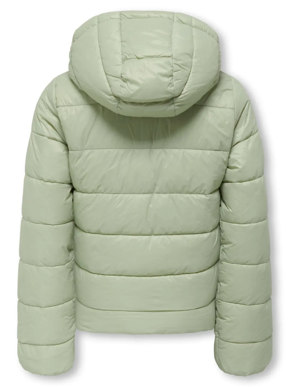 KOGKAJSA Veste