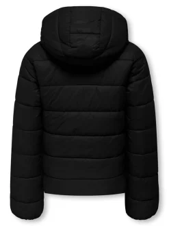 KOGKAJSA Veste