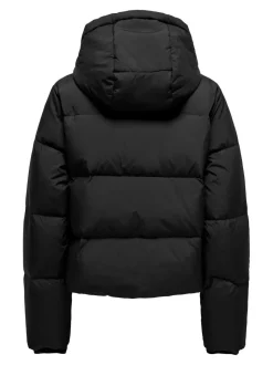 ONLALICE Veste