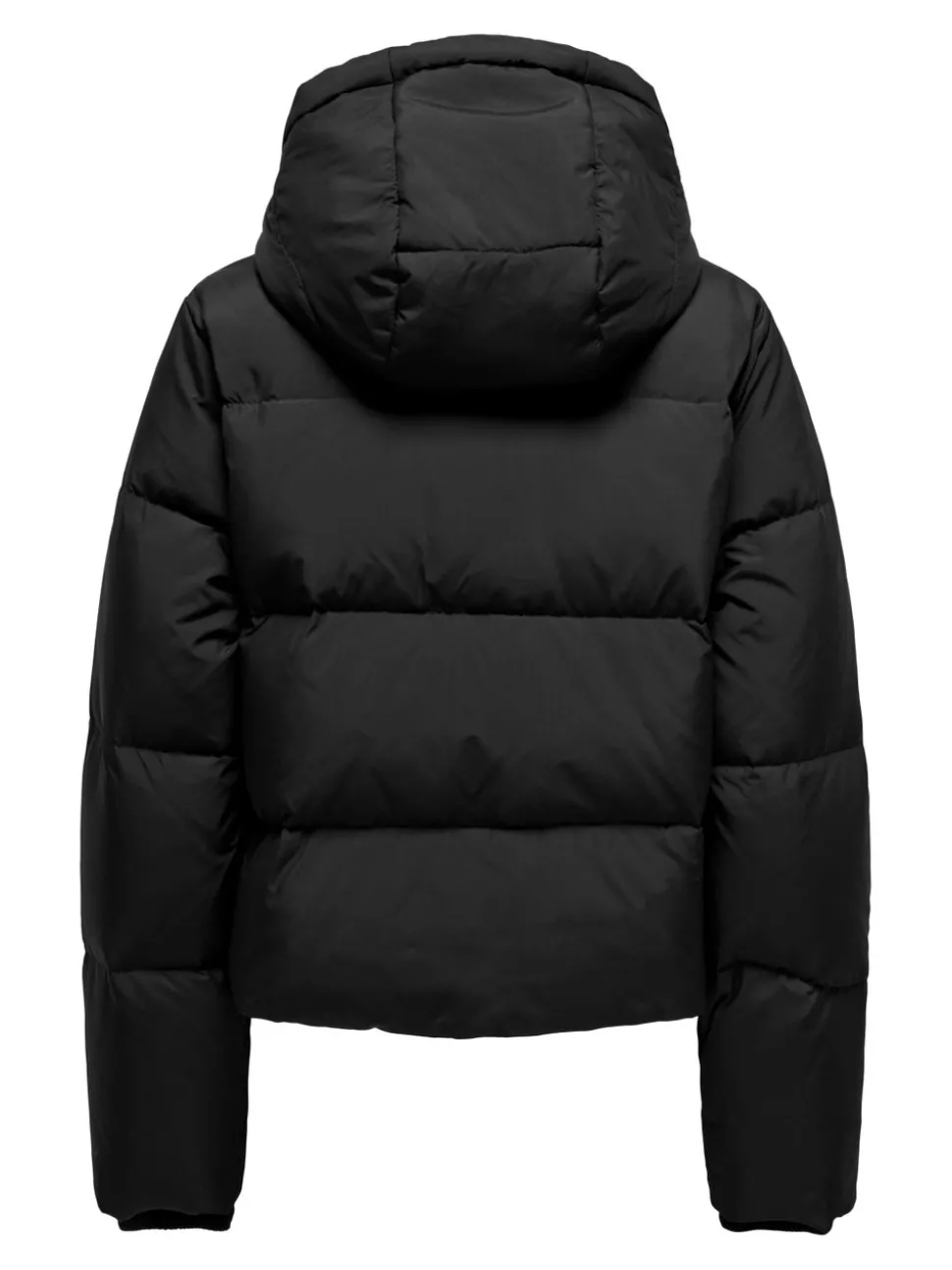 ONLALICE Veste