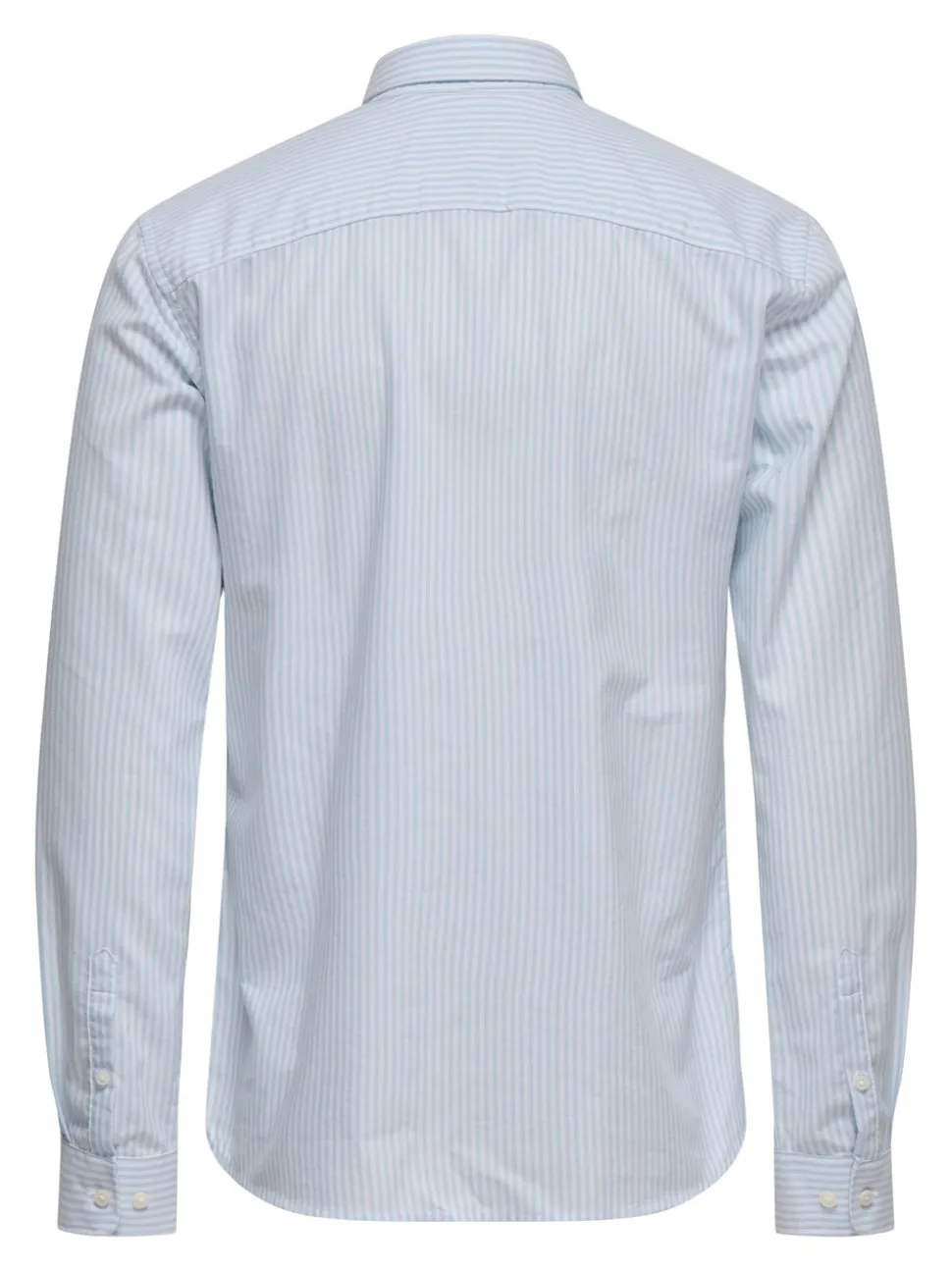 ONSALVARO Chemise Oxford