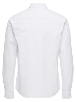 ONSALVARO Chemise Oxford
