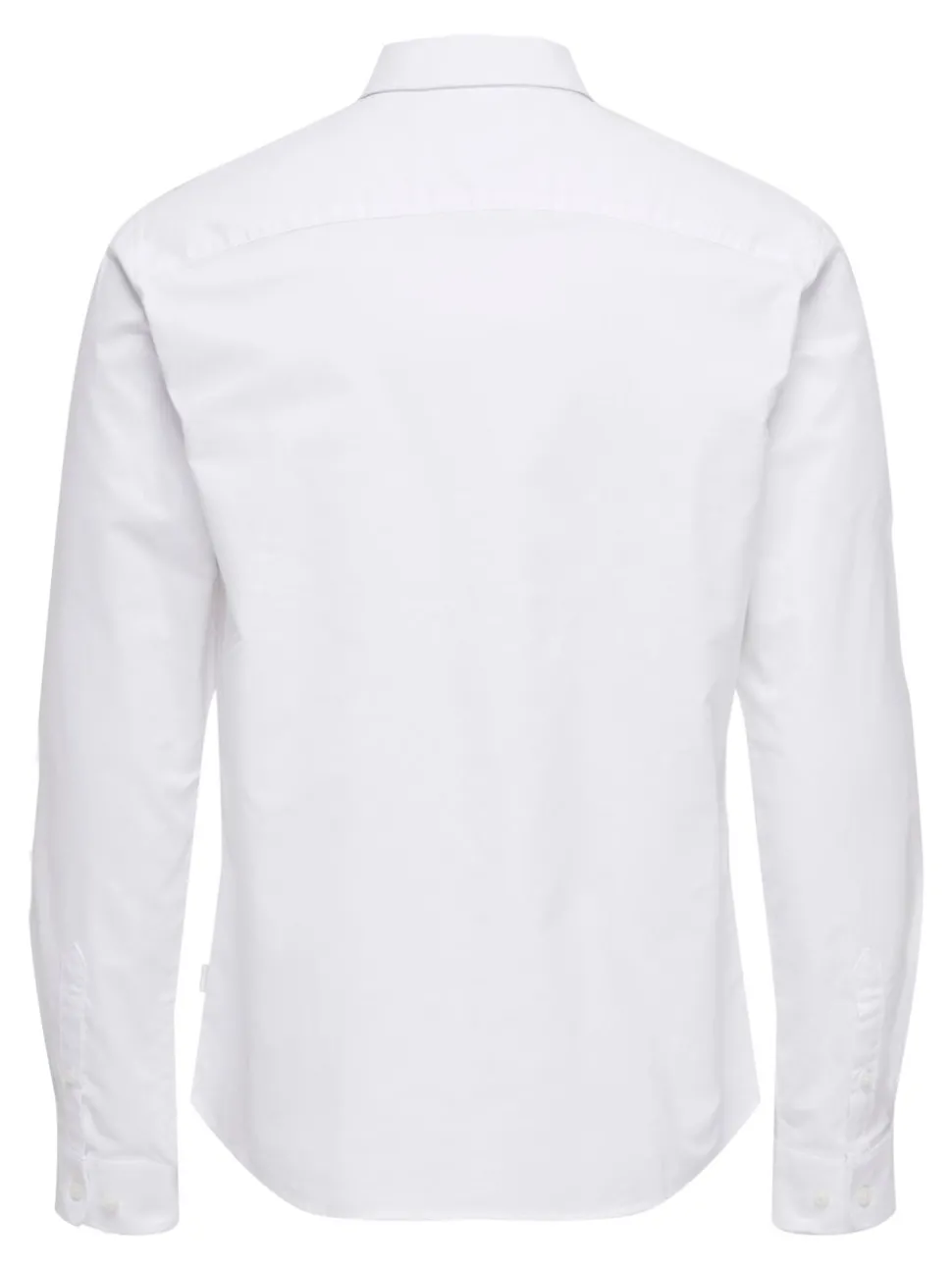 ONSALVARO Chemise Oxford