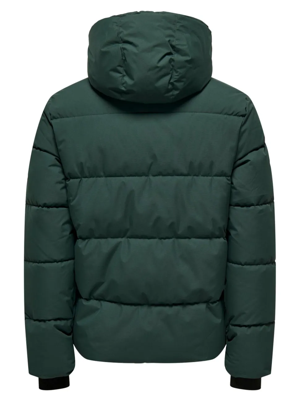 ONSELIJAH Manteau