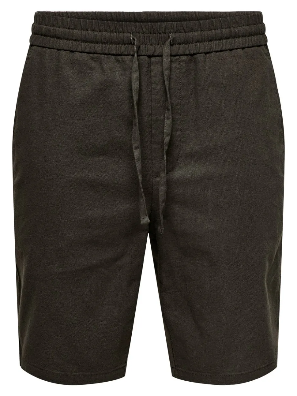 ONSLINUS Regular Fit Lin Shorts