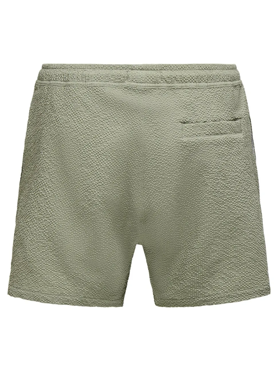 ONSTED Swim Shorts