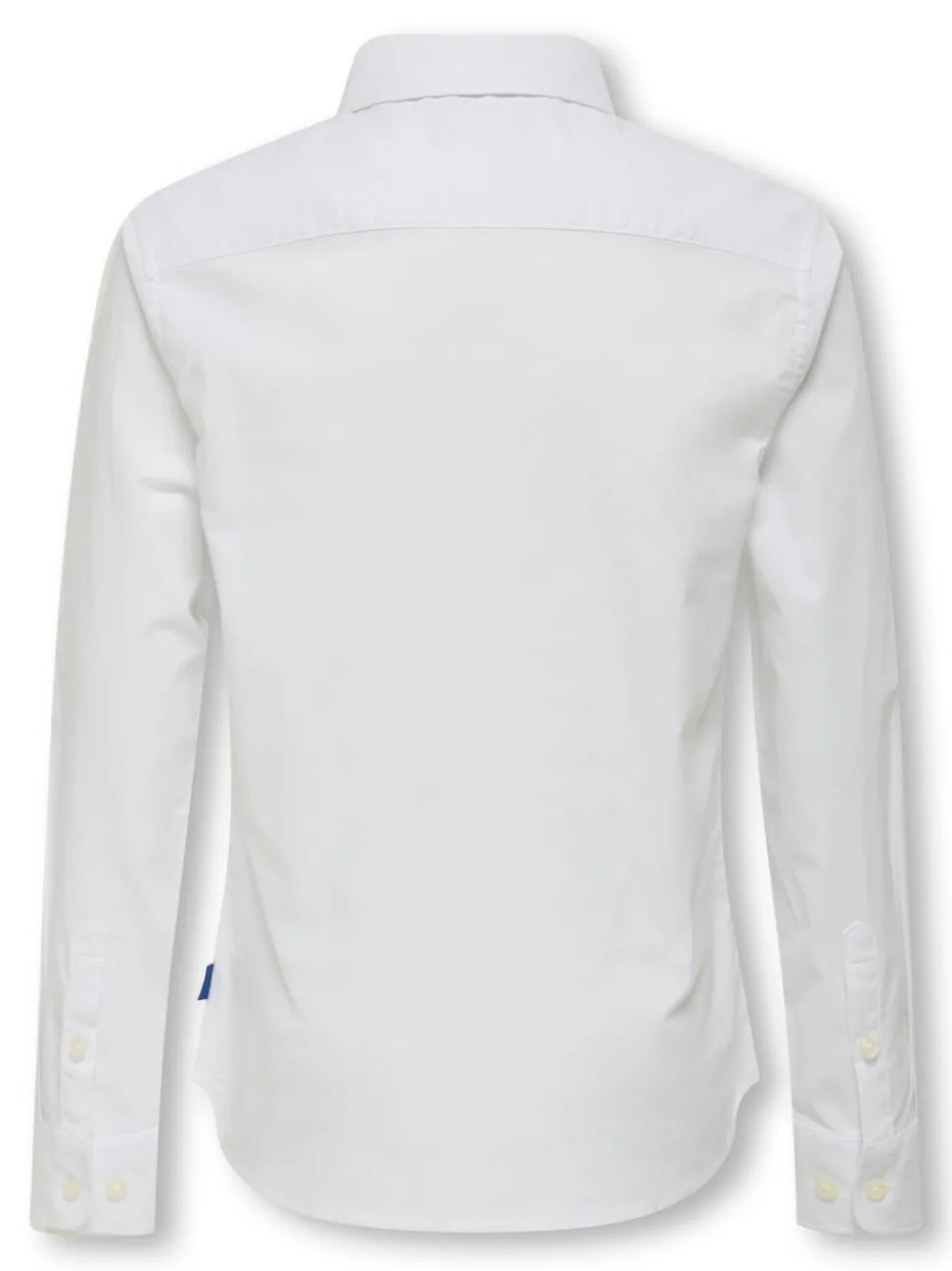 OSJALVARO Chemise Oxford