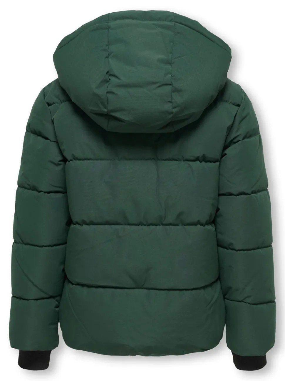 OSJELIJAH Veste